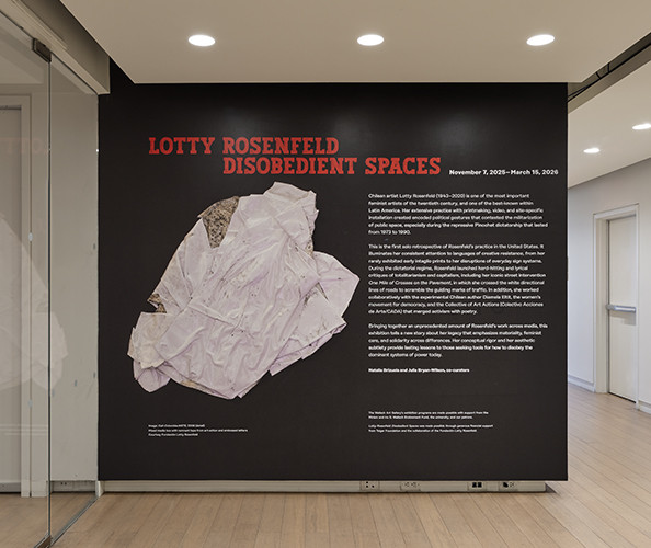 Lotty Rosenfeld: Disobedient Spaces